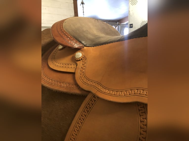 Continental Equiflex