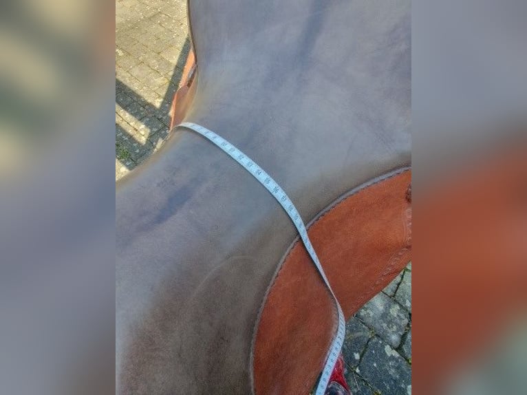 Continental Westernsattel