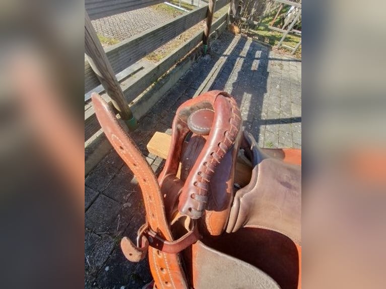 Continental Westernsattel