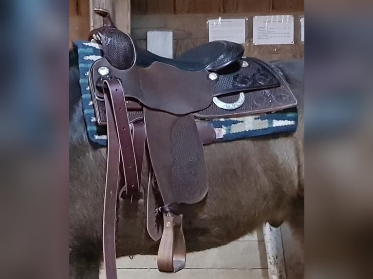 Custom made JS Westernsattel Andy Maschke AM Baum Superior Saddlery