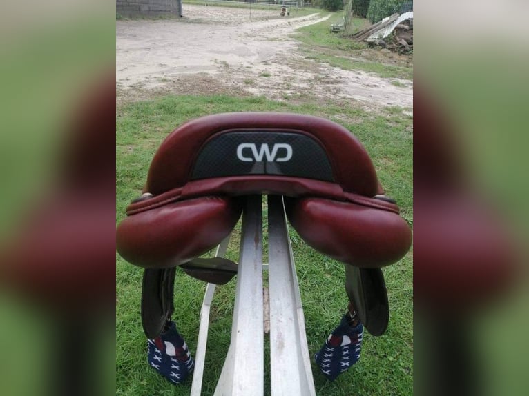 CWD Demoiselle Sattel, Größe 17