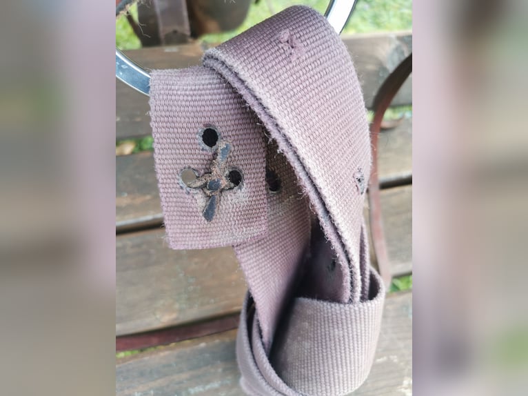 Deuber & Partner Trailrider