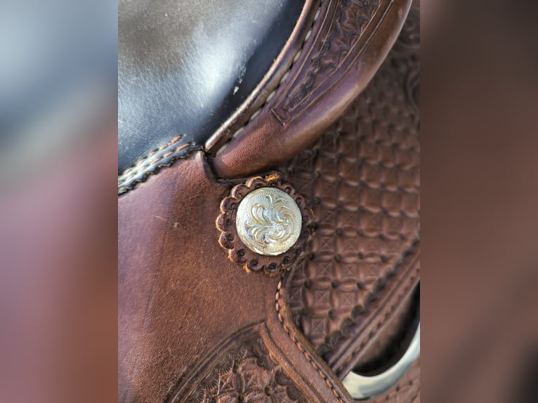 Deuber Performance Reiner 2209, Größe 02, Sitz 16