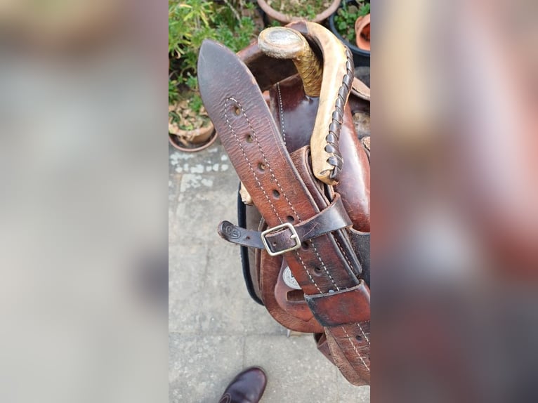 DIAMOND C breiter Westernsattel 16" XFQH braun