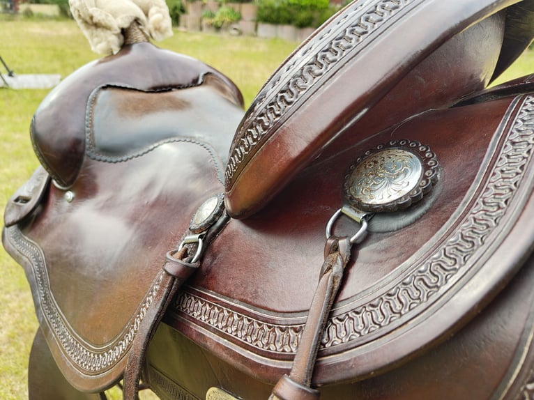Diamond C , Roundskirt, Westernsattel 