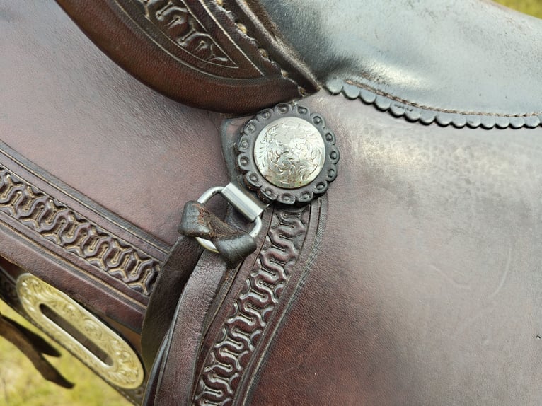 Diamond C , Roundskirt, Westernsattel 
