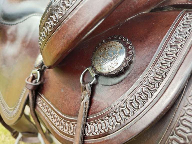 Diamond C , Roundskirt, Westernsattel 