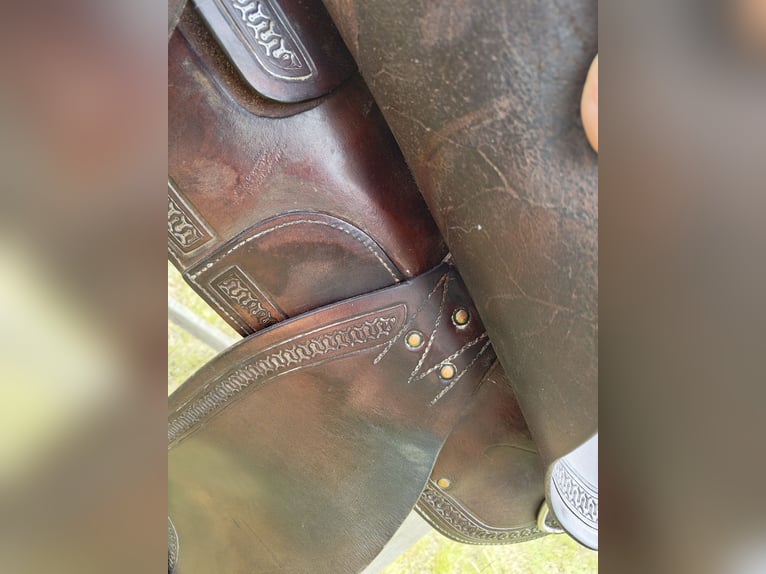 Diamond C , Roundskirt, Westernsattel 