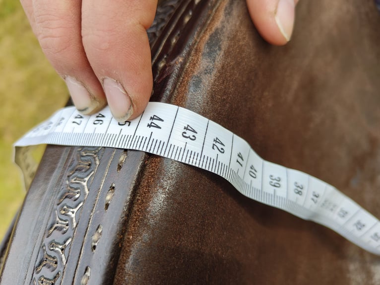 Diamond C , Roundskirt, Westernsattel 
