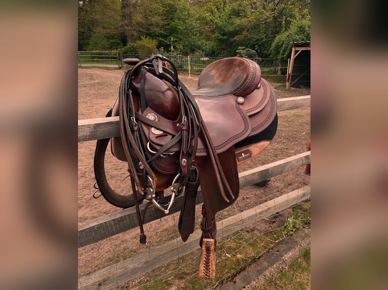 Diamond C Westernsattel – Holzbaum – Top Zustand – inkl. Zubehör