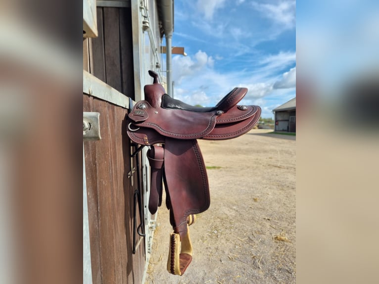 Diamond C Westernsattel