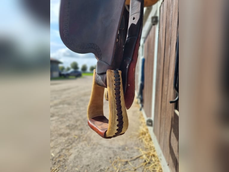 Diamond C Westernsattel