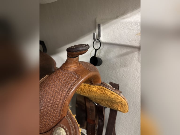 Diamond C Westernsattel zu verkaufen  Diamond C Westernsattel zu verkaufen