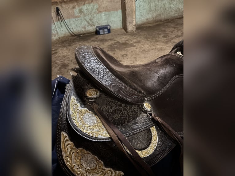 Edler Westernsattel braun