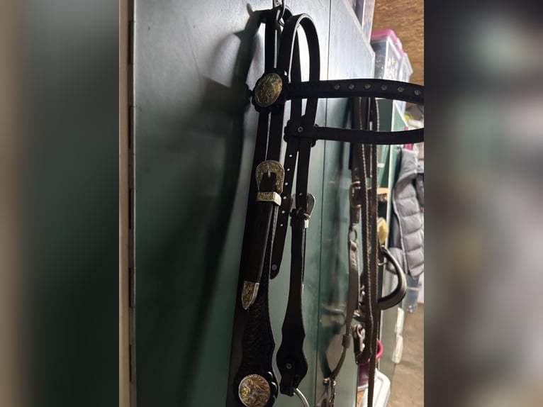 Edler Westernsattel braun