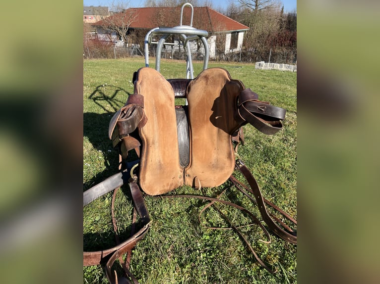 Equiflex Natural Performer Parelli 