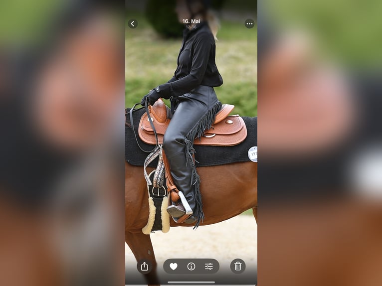 Equiflex Sattel der Marke OM