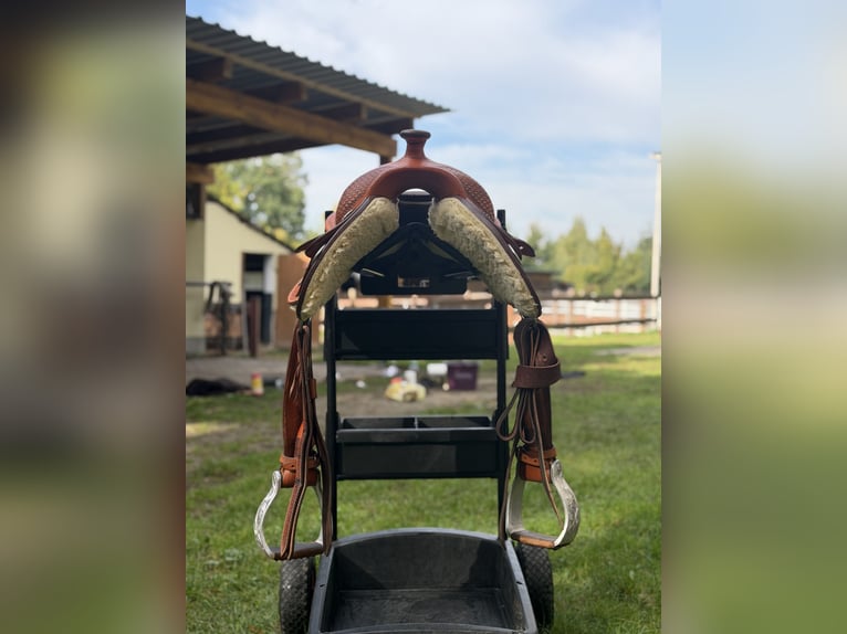 Equiflex Westernsattel 16 Zoll | 74er Baum | inkl. Alu-Steigbügel