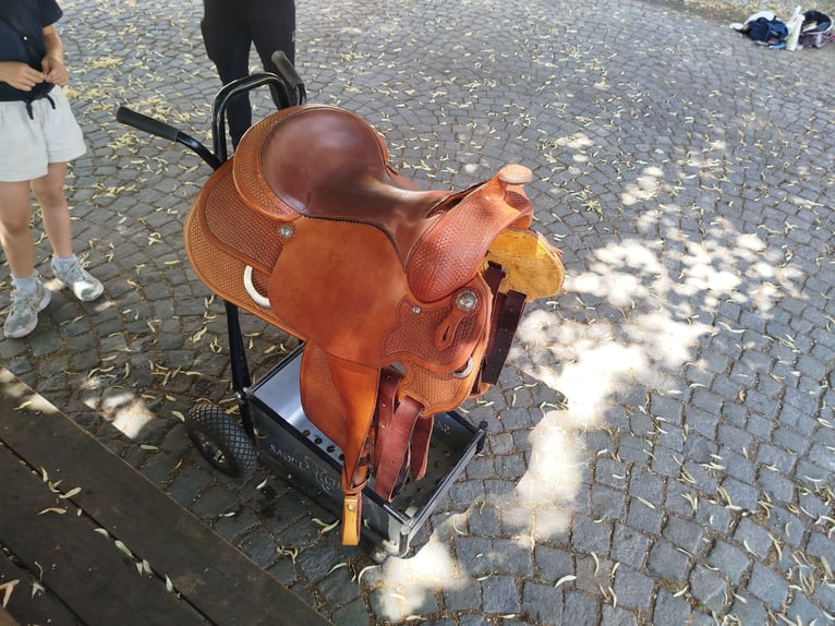 Equine Designs 108-3 Gomeier