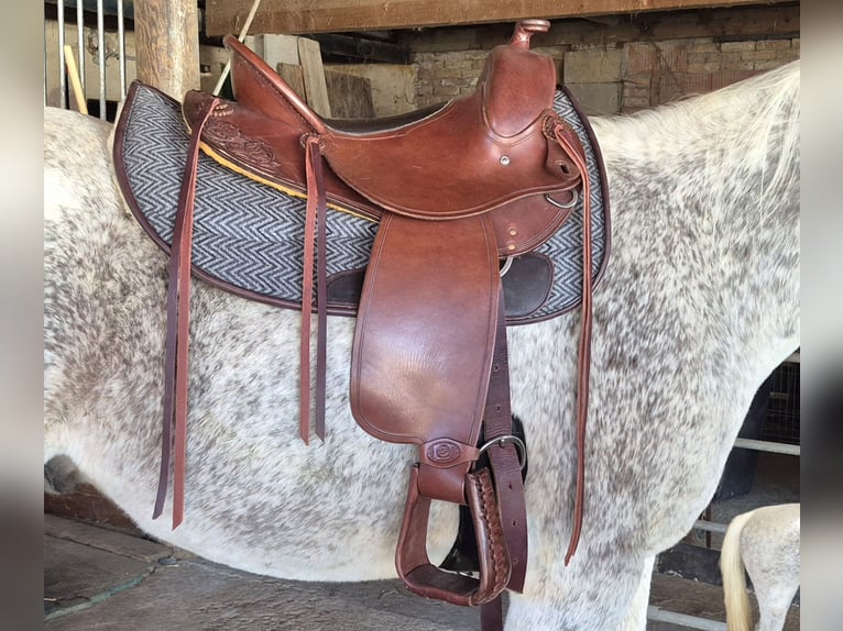 Flexfit Vario Old Style Westernsattel