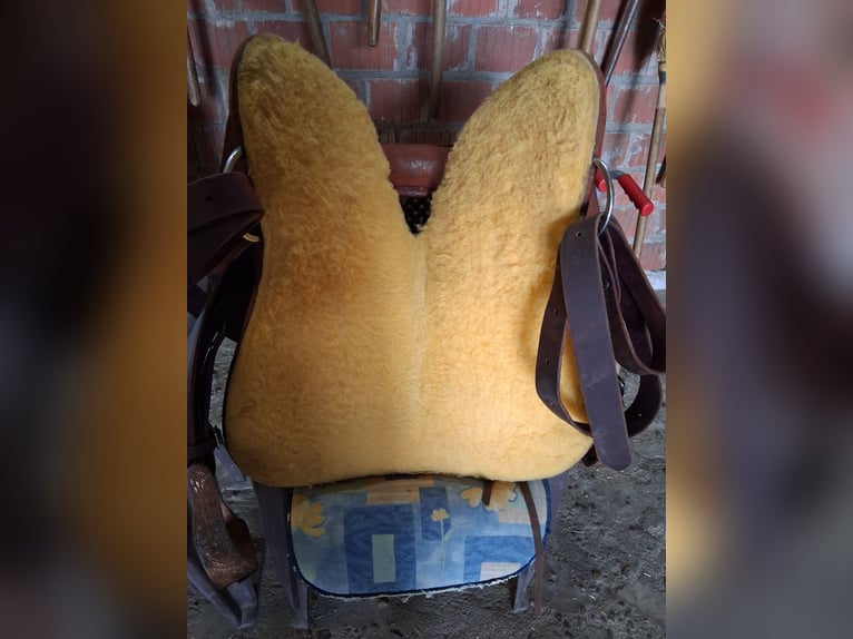 Freemax Westernsattel Round cow cognac
