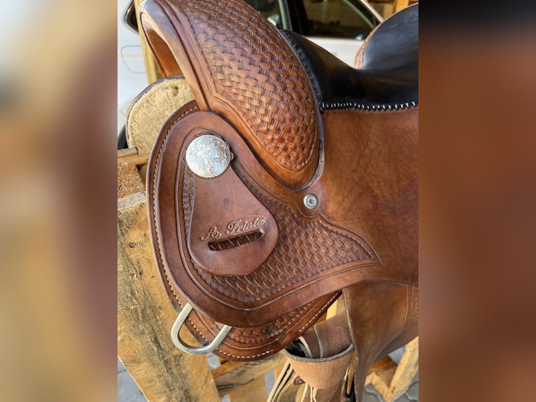 Frinta Westernsattel Kaltblut