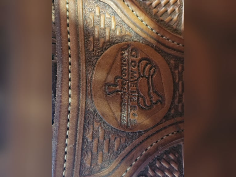 Gomeier Sattel - AM Superior Saddlery 