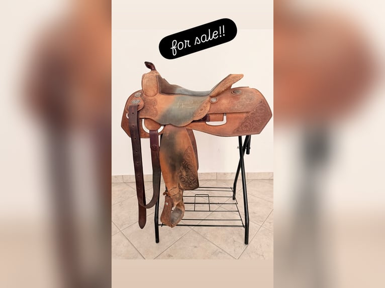 Gomeier Superior Equitation Pleasure Rough Out