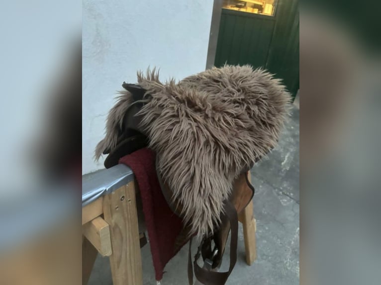 Kinder Westernsattel