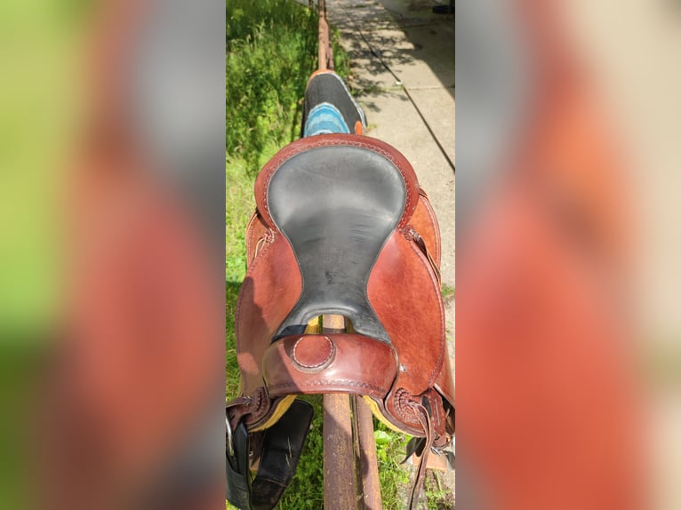 Leichter Westernsattel-Trail Rider Deuber