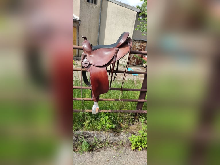 Leichter Westernsattel-Trail Rider Deuber