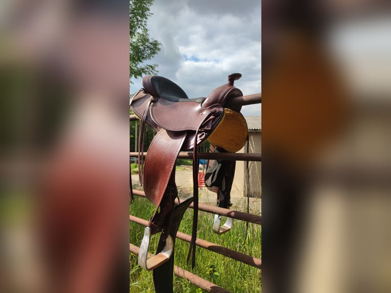 Leichter Westernsattel-Trail Rider Deuber