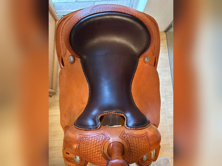 Platinum Series by Equine Designs – Made in the USA