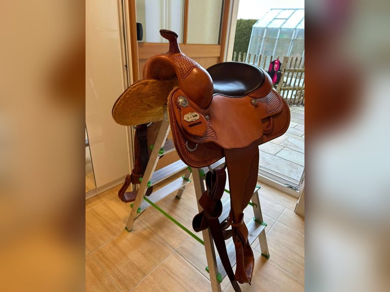 Platinum Series by Equine Designs – Made in the USA