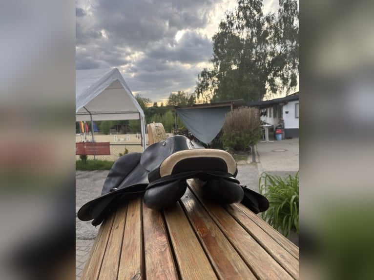 Prestige Elastic Professional Springsattel 17 Zoll