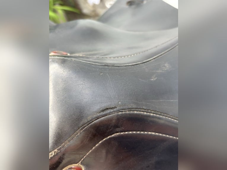 Prestige Elastic Professional Springsattel 17 Zoll