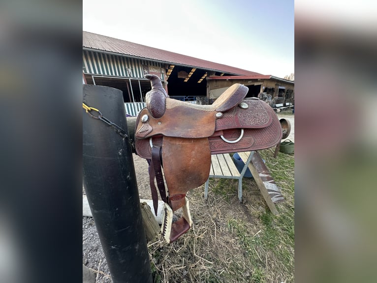 Schöner Westernsattel - Wildleder / Roping Horn