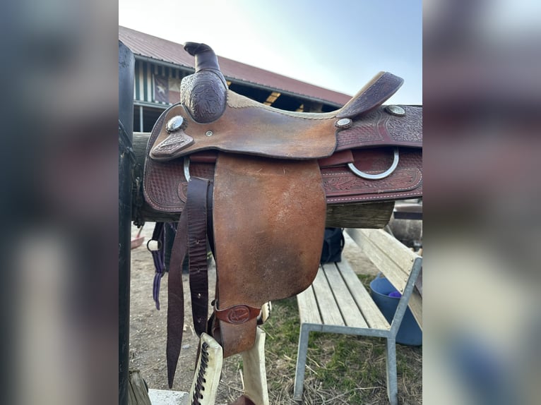 Schöner Westernsattel - Wildleder / Roping Horn