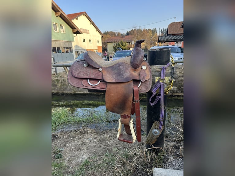 Schöner Westernsattel - Wildleder / Roping Horn