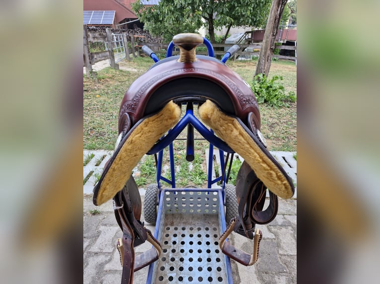 Sehr gepflegter wenig gebrauchten Verstellbaren Equiflex Sattel