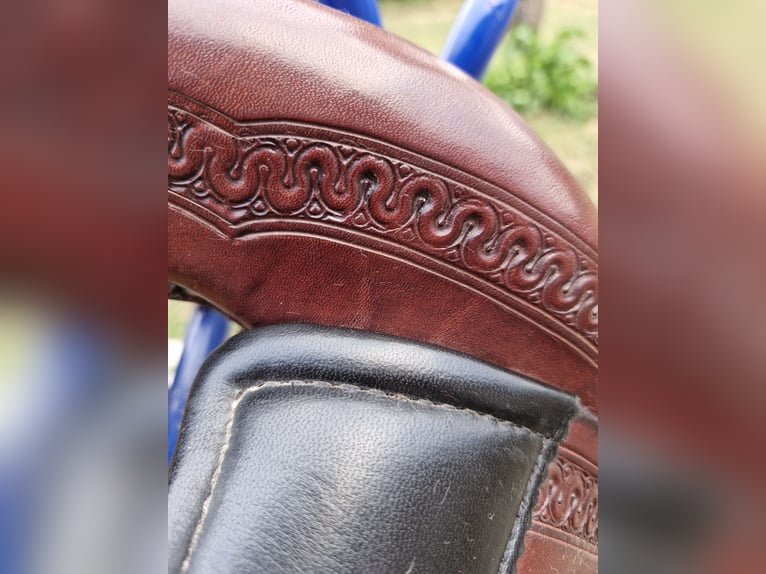 Sehr gepflegter wenig gebrauchten Verstellbaren Equiflex Sattel