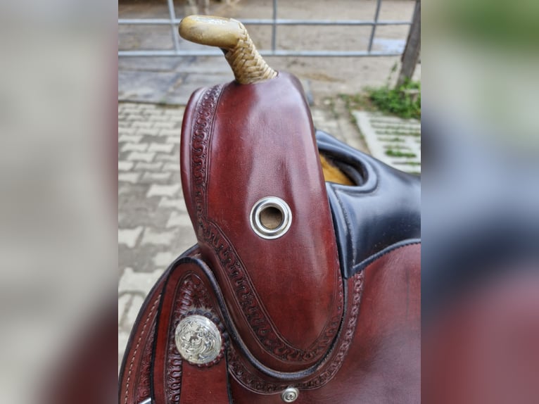Sehr gepflegter wenig gebrauchten Verstellbaren Equiflex Sattel