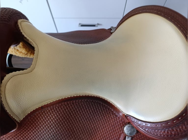 Stegmann Sattel 