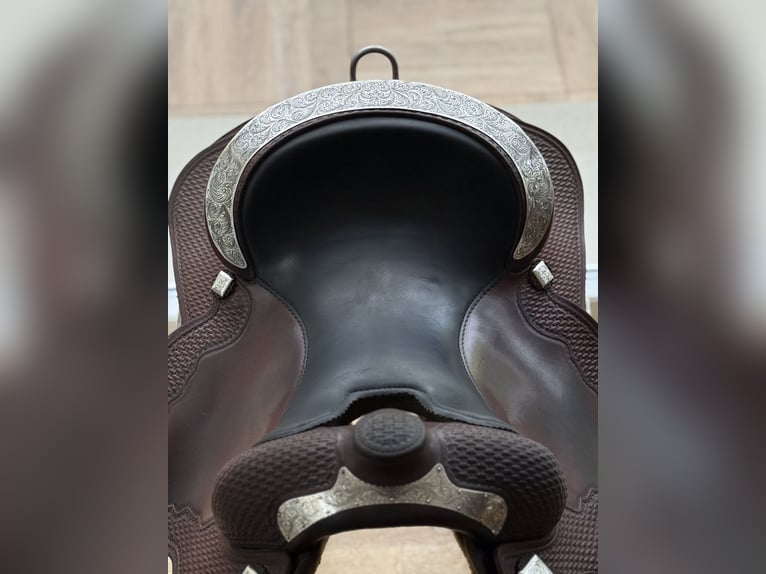 Stegmann Showsattel Pleasure mit reichlich Sterling Silber 