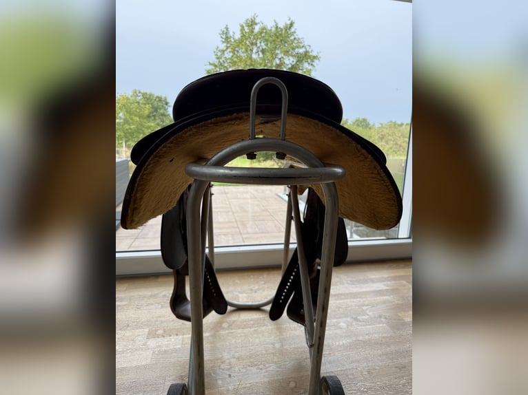 Stegmann Showsattel Pleasure mit reichlich Sterling Silber 