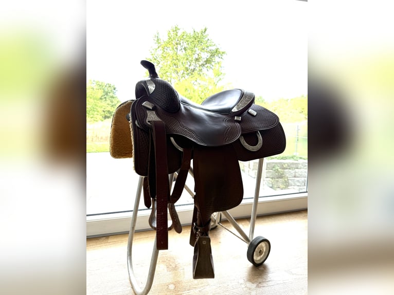 Stegmann Showsattel Pleasure mit reichlich Sterling Silber 