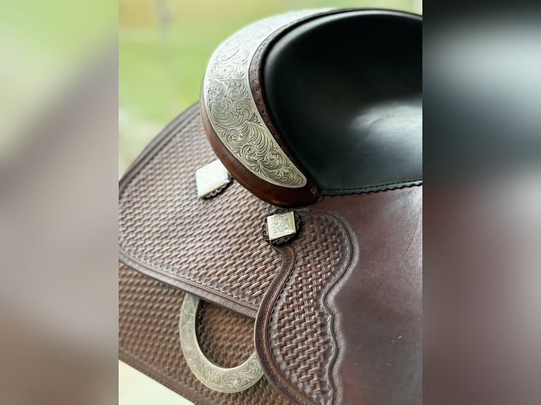 Stegmann Showsattel Pleasure mit reichlich Sterling Silber 