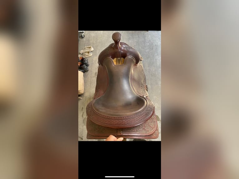 Stegmann Westernsattel 6 1/4 mit Silber Conchos