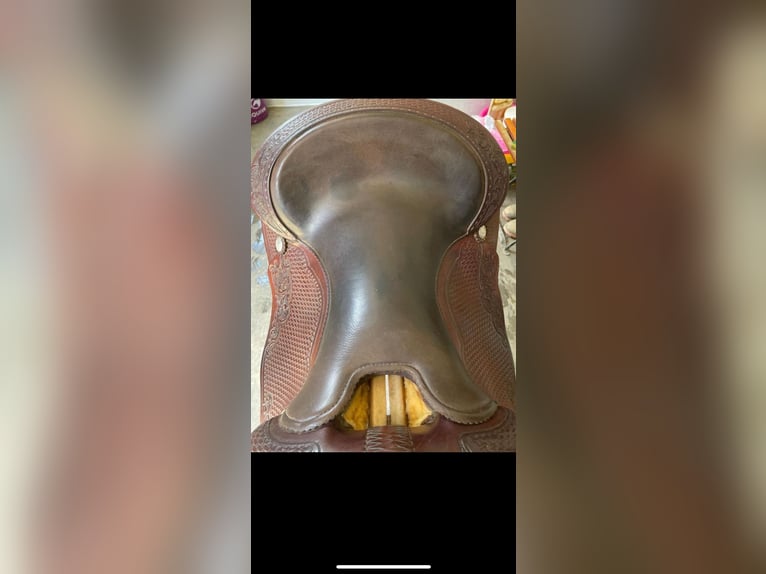 Stegmann Westernsattel 6 1/4 mit Silber Conchos