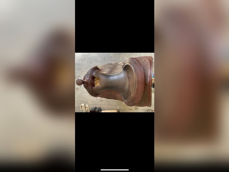 Stegmann Westernsattel 6 1/4 mit Silber Conchos